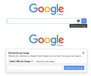 google image search